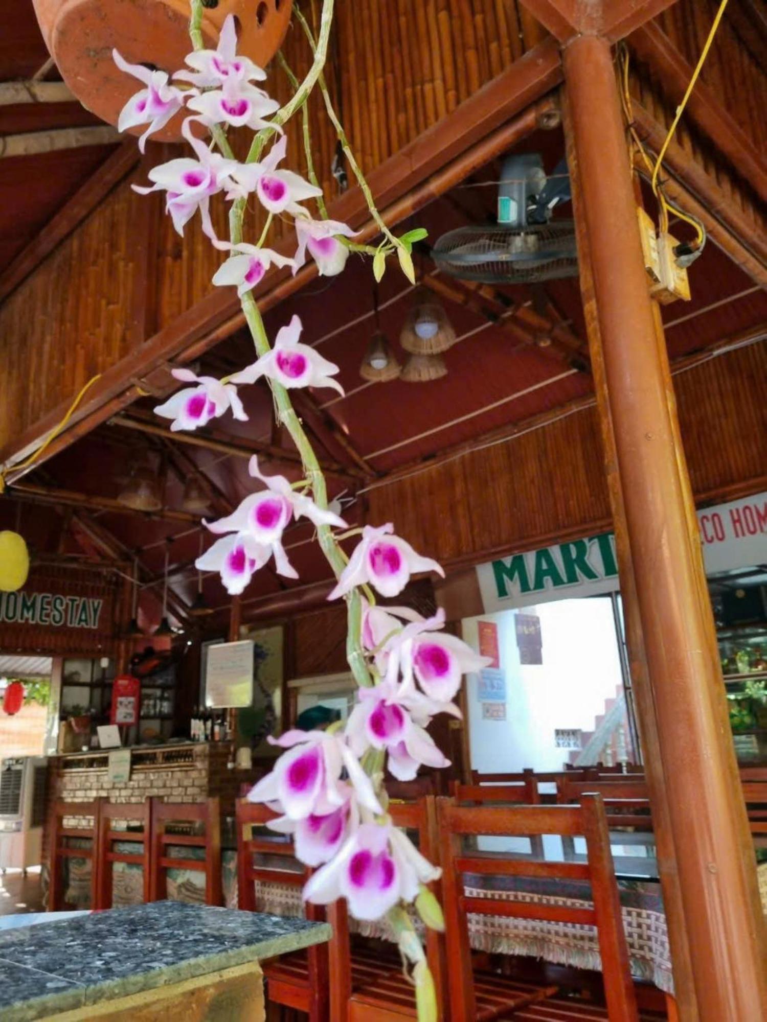 Hoalu Ecolodge Homestay Ninh Binh Exteriér fotografie