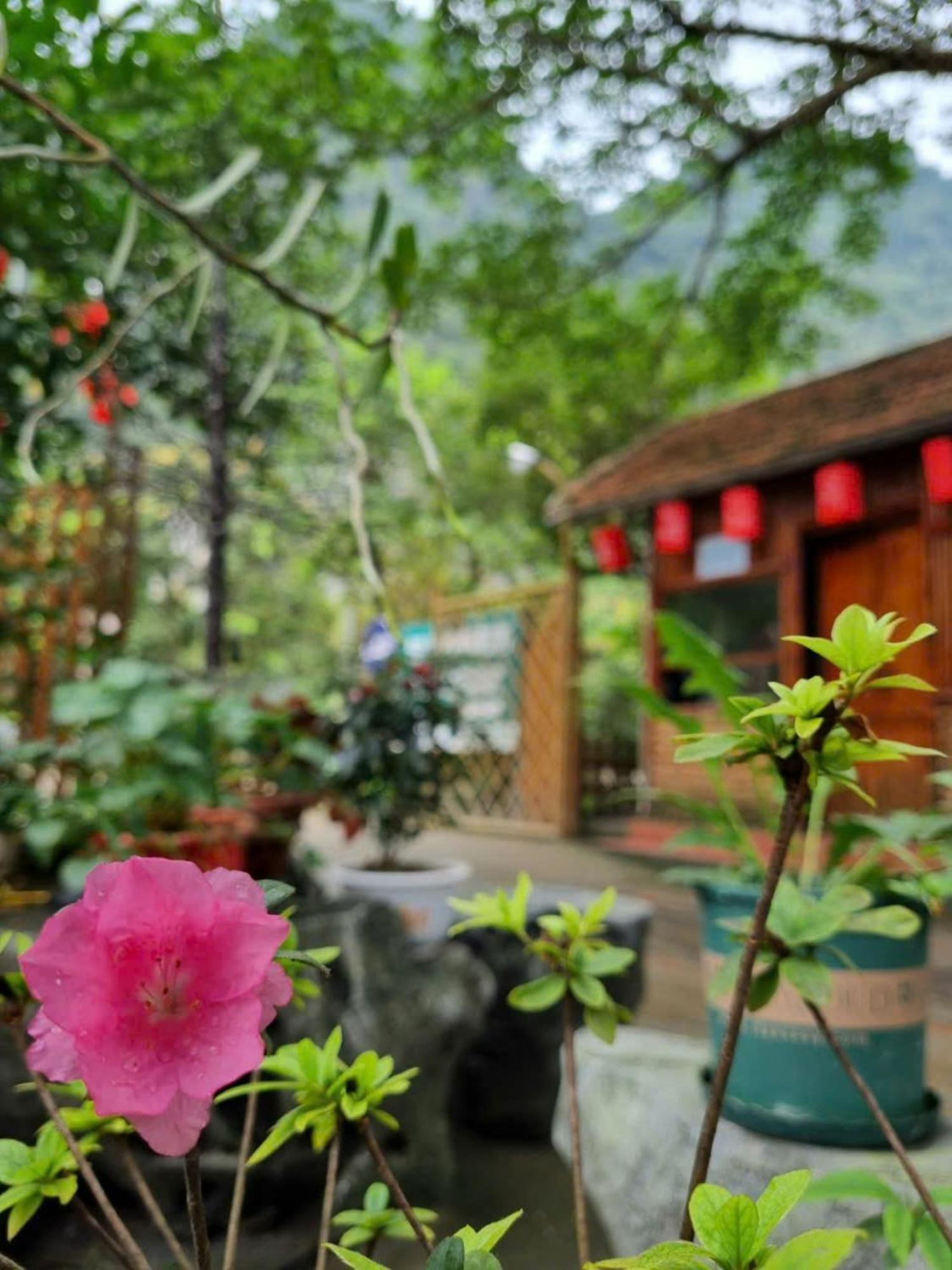 Hoalu Ecolodge Homestay Ninh Binh Exteriér fotografie
