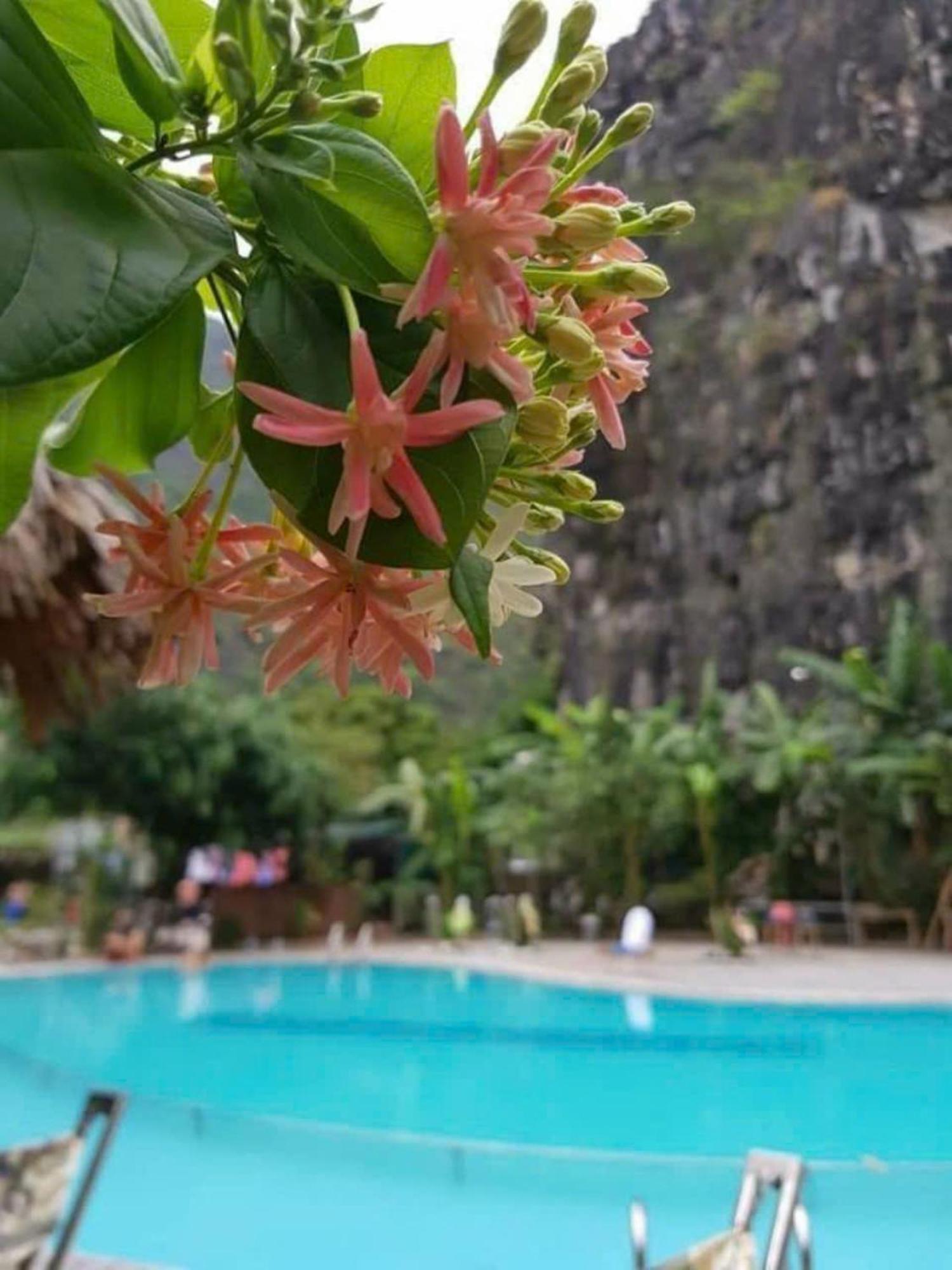 Hoalu Ecolodge Homestay Ninh Binh Exteriér fotografie